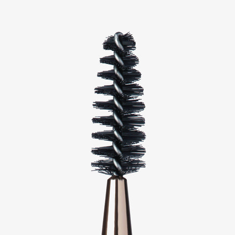 Brush Best Sellers Set